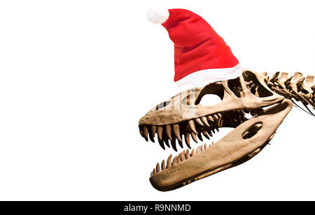 Dinosaurier Skelett mit Santa Claus hat über Weiß isoliert Hintergrund. Stockfoto