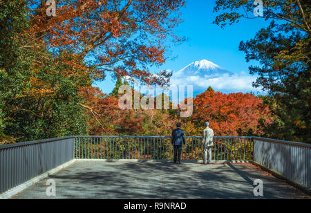 Reisende auf der Suche Mt. Fuji und bunten Herbst Blatt an Shiraito fällt in Fujinomiya, Shizuoka, Japan. Stockfoto