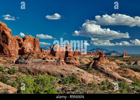 Garten Eden, Arches National Park, Moab, Utah, USA, Nordamerika Stockfoto