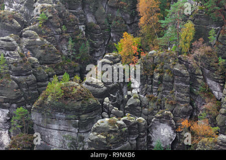 Blick über den Raaber Kessel im Elbsandsteingebirge, Sächsische Schweiz, Sachsen, Osten Deutschland Stockfoto