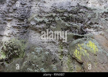 Nahaufnahme der erodierten Felsen im Cliff durch Wind- und Wassererosion, Elbsandsteingebirge, Sächsische Schweiz NP, Sachsen, Deutschland Stockfoto