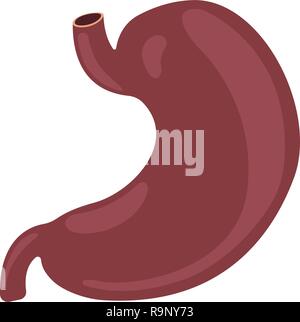 Magen-Symbol. Menschliche innere Organe Symbol. Verdauungssystem Anatomie. Vector Illustration im flachen Stil auf weißem Hintergrund Stock Vektor