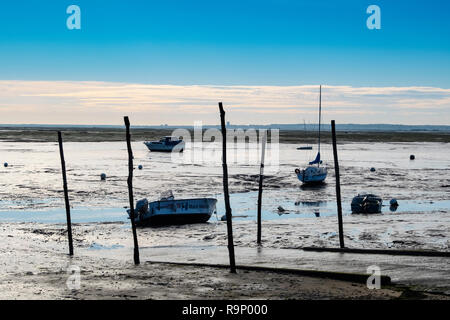 Strand. Die austernzucht, Bucht von Arcachon. Bassin d'Arcachon. Lège-Cap-Ferret, Gironde. Region Aquitanien. Frankreich Europa. Stockfoto