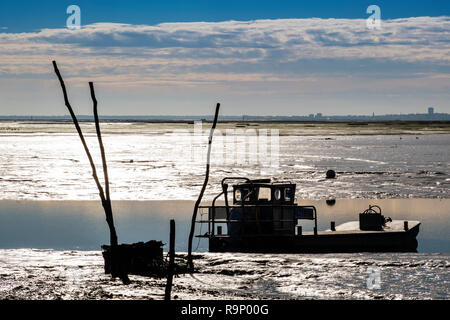 Strand. Die austernzucht, Bucht von Arcachon. Bassin d'Arcachon. Lège-Cap-Ferret, Gironde. Region Aquitanien. Frankreich Europa. Stockfoto