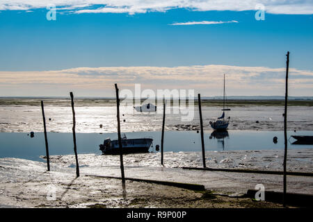 Strand. Die austernzucht, Bucht von Arcachon. Bassin d'Arcachon. Lège-Cap-Ferret, Gironde. Region Aquitanien. Frankreich Europa. Stockfoto