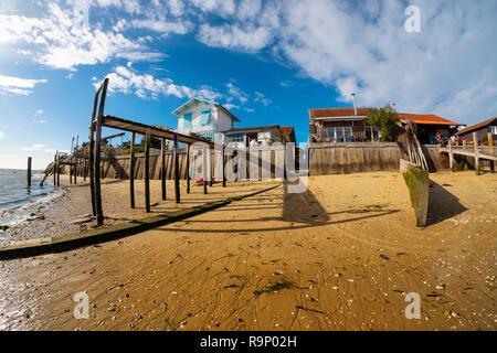 Strand. Die austernzucht, Bucht von Arcachon. Bassin d'Arcachon. Lège-Cap-Ferret, Gironde. Region Aquitanien. Frankreich Europa. Stockfoto