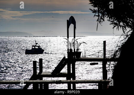 Die austernzucht, Bucht von Arcachon. Bassin d'Arcachon. Lège-Cap-Ferret, Gironde. Region Aquitanien. Frankreich Europa. Stockfoto