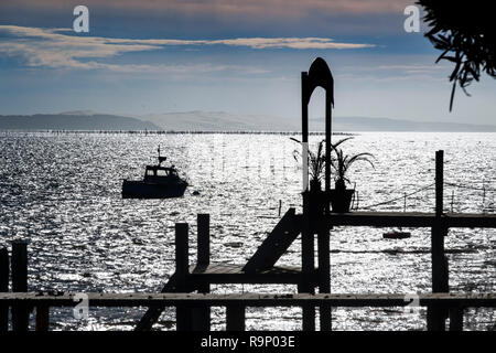 Die austernzucht, Bucht von Arcachon. Bassin d'Arcachon. Lège-Cap-Ferret, Gironde. Region Aquitanien. Frankreich Europa. Stockfoto