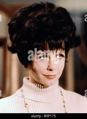 Elizabeth Montgomery, "verhext" (1964-1972) ABC-Datei Referenz # 33635 690 CPC Stockfoto