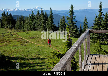 WASHINGTON - die Wanderer in der Wiese auf Shriner Peak Feuer Ausblick mit Blick auf die Ziege Felsen, Mount Adams und Mount Hood, Mount Rainier National Park. Stockfoto