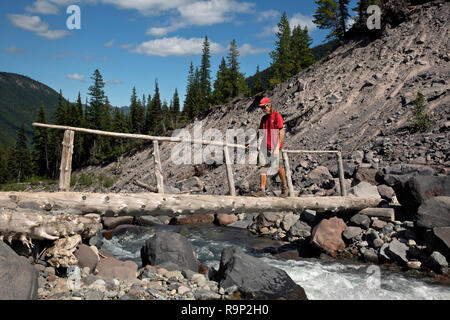 WA 15618-00 ... WASHINGTON - Wanderer über eine Brücke über die Gabel auf der Emmons Moränenweg im White River Tal des Mount Rainier Natio anmelden Stockfoto