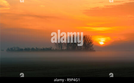 Sunrise Landschaft Landschaft, Hortobagy Hortobagy National Park, Ungarn Puszta, Europa Wildtieren, UNESCO Weltkulturerbe Stockfoto