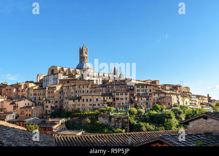 Blick auf Siena Stadt mit Kuppel und Glockenturm der Kathedrale von Siena oder Duomo di Siena von der Basilica di San Domenico. Italien Stockfoto