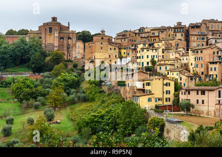 Blick auf die Altstadt von Siena von der Piazza del Mercato. Siena. Italien Stockfoto