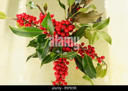 Red Stechpalme Beeren und Spikey holly Blätter in eine Vase, eine Weihnachtsdekoration. Stockfoto