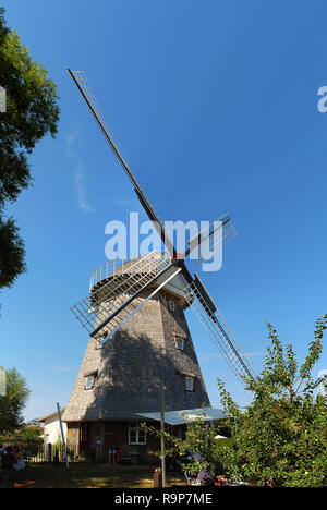 Windmühle bei Ahrenshoop, Darrs, Deutschland. Ahrenshoop ist eine Gemeinde in Mecklenburg-Vorpommern auf der Halbinsel Fischland-Darß-Zingst der Stockfoto