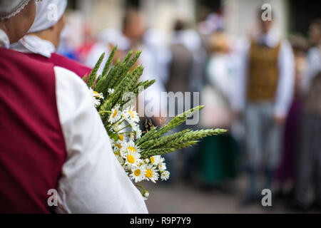 Elemente der Ornamente und Blumen. Lied und Tanz Festival in Lettland. Prozession in Riga. Lettland 100 Jahre. Stockfoto