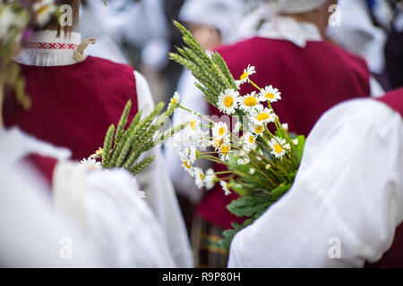 Elemente der Ornamente und Blumen. Lied und Tanz Festival in Lettland. Prozession in Riga. Lettland 100 Jahre. Stockfoto