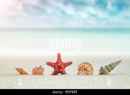 Ea Muscheln und roten Seesterne auf Sand Strand auf unscharfen Hintergrund der azurblauen Meer und blauer Himmel mit weißen Wolken, urlaub ferien Konzept Stockfoto