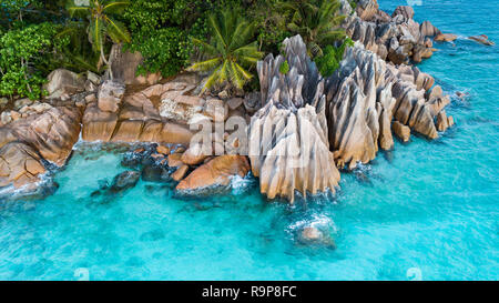 Tropische Insel mit Blick auf das Meer und die Palmen von drohne getroffen. Seychellen Luftbild. St Pierre Insel Stockfoto