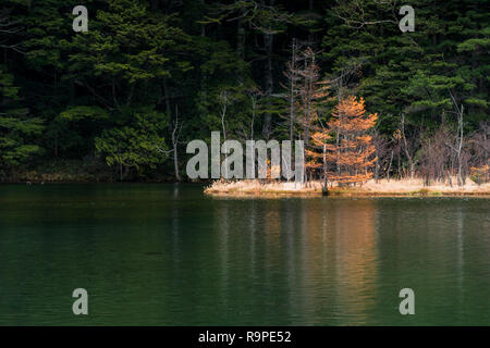 Myojin Teich in Kamikochi im Herbst, die Japanischen Alpen, Chubu Sangaku National Park Stockfoto