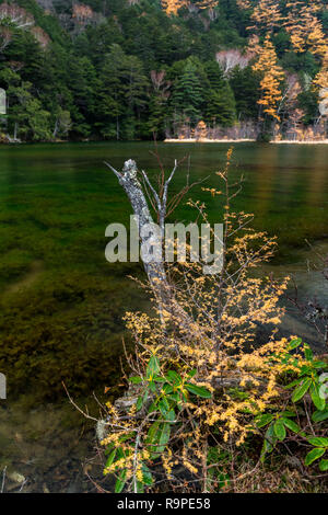 Myojin Teich in Kamikochi im Herbst, die Japanischen Alpen, Chubu Sangaku National Park Stockfoto