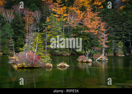 Myojin Teich in Kamikochi im Herbst, die Japanischen Alpen, Chubu Sangaku National Park Stockfoto