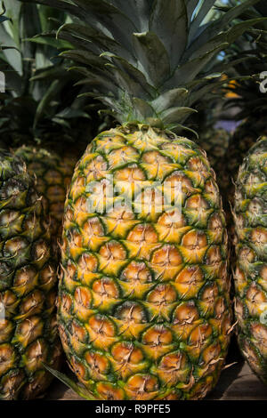 Mehreren Ananas Stockfoto