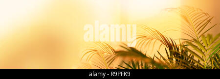 Die Schatten von tropischen Palmen Blätter auf Pastell gelb Wand Hintergrund. Sommer Banner mit kopieren. Stockfoto