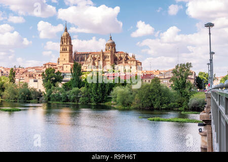 Stadtbild von Salamanca mit Brücke über den Fluss Tormes und die Kathedrale, Spanien Stockfoto