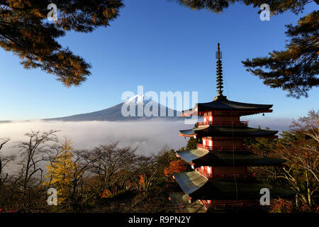 Mt. Fuji, Japan gesehen von Chureito Pagode im Herbst an einem kalten Morgen. Stockfoto