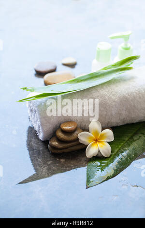 Tropische Blume, Handtuch und Creme Tube. Körperpflege und spa-Konzept Stockfoto