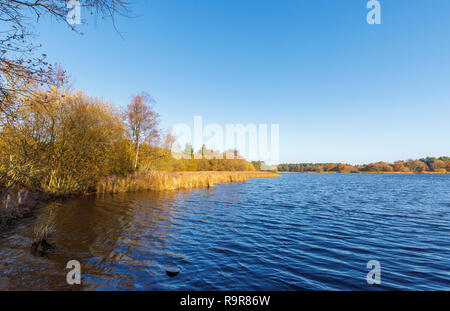 Anzeigen von Frensham kleiner Teich, einem beliebten Aussichtspunkt für Wanderer in der Nähe von Farnham, Surrey, South East England, im späten Herbst Stockfoto