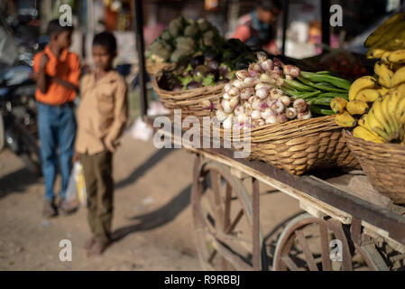 Holz- Warenkorb beladen mit frischem Obst und Gemüse, 2 junge indische Jungen im Hintergrund stand. Flache D von F. in der Nähe von Udaipur, Rajasthan, Indien Stockfoto