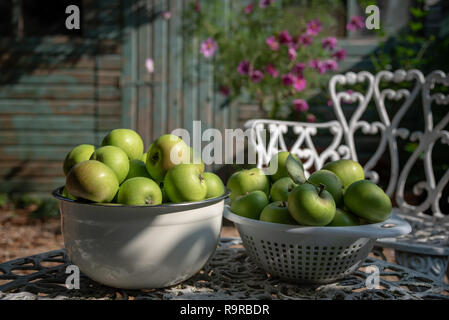 Schalen von frisch kochen Äpfel auf einem warmen sonnigen Tag abgeholt. Stockfoto