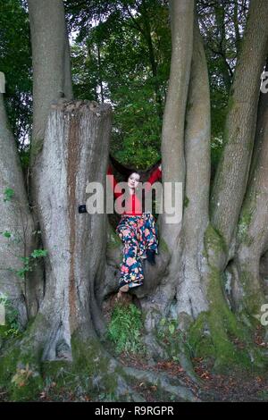 Eine modische junge Dame zwischen den Stämmen der alten Buche im Englischen woodland Posing Stockfoto