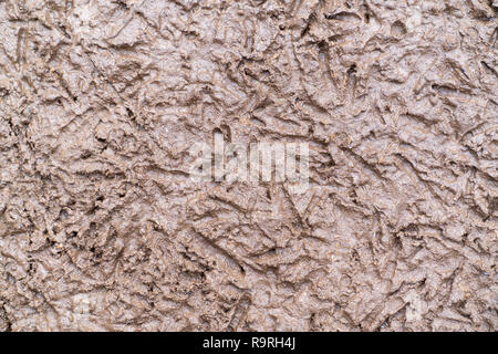 Käfig - kostenlose Huhn Fußabdrücke auf dem Schlamm. Stockfoto