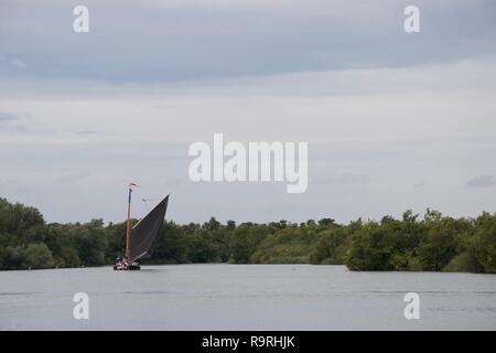 Traditionelle Norfolk wherry, einem Englischen/Britischen Segelboot mit einem großen schwarzen Segel, auf ranworth Breite in der Norfolk Broads, an einem grauen Tag Stockfoto