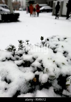 Shijiazhuang, Provinz Hebei Provinz Chinas. 27 Dez, 2018. Menschen gehen im Schnee in Shijiazhuang, nördlich der chinesischen Provinz Hebei, Dez. 27, 2018. Credit: Chen Qibao/Xinhua/Alamy leben Nachrichten Stockfoto