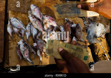 Kinshasa, Demokratische Republik Kongo. 27 Dez, 2018. Ein Mann kauft Fisch auf dem Markt. Die meisten Leute leben von ein oder zwei USD pro Tag. Allgemeine Wahlen sollen in der Demokratischen Republik Kongo am 30. Dezember 2018 gehalten zu werden, einen Nachfolger zu lange - Zeit amtierende Präsident Kabila zu bestimmen. Quelle: Stefan Kleinowitz/ZUMA Draht/Alamy leben Nachrichten Stockfoto