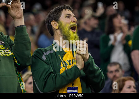 Houston, TX, USA. 27 Dez, 2018. Ein Baylor Bears fan jubelt im 4. Quartal des Texas Schüssel NCAA Football Spiel zwischen der Baylor Bears und den Vanderbilt Commodores an NRG Stadion in Houston, TX. Baylor gewann das Spiel 45 zu 38. Trask Smith/CSM/Alamy leben Nachrichten Stockfoto