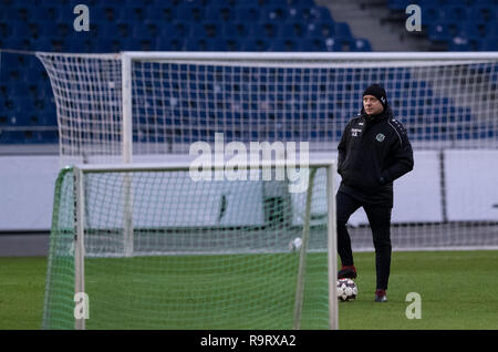 Hannover, Deutschland. 28 Dez, 2018. Hannovers Trainer Andre Breitenreiter führt die Ausbildung Auftakt von Hannover 96 im Stadion. Hannover 96 startet am Freitag in der Vorbereitung für die zweite Hälfte der Bundesliga. Nach der Verein, der mit dem Abstieg bedroht war, die erste Hälfte der Serie mit nur elf Punkten auf Platz 17 beendete, Coach Andre Breitenreiter storniert den Weihnachtsferien von sechs Tagen. Credit: Peter Steffen/dpa/Alamy leben Nachrichten Stockfoto