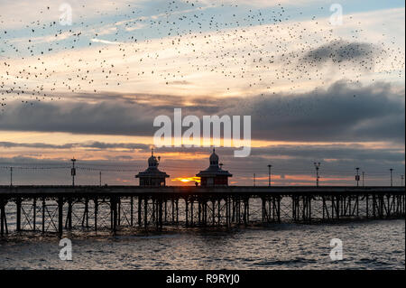 Blackpool, Großbritannien. 28th Dez 2018. Tausende von Staren fliegen in Murmeln um Blackpool North Pier, bevor sie für die Nacht auf den Beinen des Piers aufsteigen. Quelle: AG News/Alamy Live News. Stockfoto