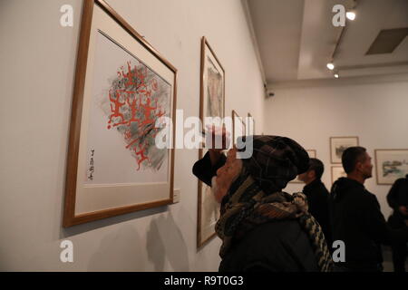 Hanoi, Vietnam. 28 Dez, 2018. Besucher Blick auf ein Gemälde während einer chinesischen Malerei Ausstellung und China-Vietnam traditionelle Kultur Austausch an der Vietnam Museum der Schönen Künste in Hanoi, Vietnam, Dez. 28, 2018. Dutzende von chinesischen und vietnamesischen Künstlern hier am Freitag versammelten Gemälde unter dem Motto "draw Lotus" und Diskutieren fine art - Verwandte Themen nach der Teilnahme an der Eröffnung der Ausstellung. Credit: Wang Di/Xinhua/Alamy leben Nachrichten Stockfoto