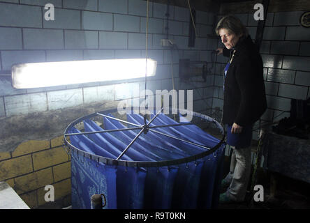 Pulsnitz, Deutschland. 11 Dez, 2018. Der blaue Farbstoff Cordula Reppe steht in der Werkstatt des blauen Farbstoff, während "Blau" bin. Es gibt nur zwölf Blue Print Shops in Deutschland. In einer der ältesten Manufakturen in Pulsnitz, Sachsen, Cordula Reppe versucht, Handwerk neue Impulse zu geben - mit jungen Designern und immateriellem Kulturerbe der Unesco. (Dpa' im Bann der Blauen Wunder" vom 29.12.2018) Credit: Miriam Schönbach/dpa-Zentralbild/dpa/Alamy leben Nachrichten Stockfoto