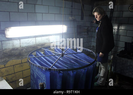 Pulsnitz, Deutschland. 11 Dez, 2018. Der blaue Farbstoff Cordula Reppe steht in der Werkstatt des blauen Farbstoff, während "Blau" bin. Es gibt nur zwölf Blue Print Shops in Deutschland. In einer der ältesten Manufakturen in Pulsnitz, Sachsen, Cordula Reppe versucht, Handwerk neue Impulse zu geben - mit jungen Designern und immateriellem Kulturerbe der Unesco. (Dpa' im Bann der Blauen Wunder" vom 29.12.2018) Credit: Miriam Schönbach/dpa-Zentralbild/dpa/Alamy leben Nachrichten Stockfoto