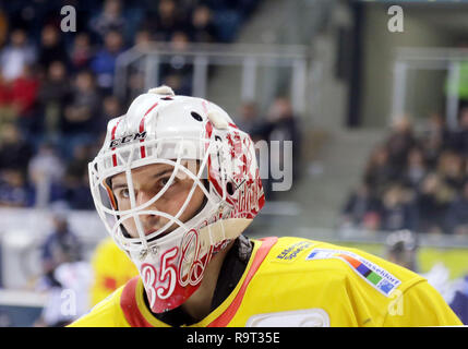 Ingolstadt, Bayern, Deutschland. 28 Dez, 2018. Mathias NIEDERBERGER (Düsseldorf), die Deutsche Eishockey Liga DEL, Spieltag 33, ERC Ingolstadt vs Düsseldorfer EG, Ingolstadt, Saturn Arena, Dec 28, 2018, Quelle: Wolfgang Fehrmann/ZUMA Draht/Alamy leben Nachrichten Stockfoto