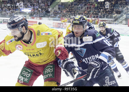 Ingolstadt, Bayern, Deutschland. Dez, 2018 28. von links Kevin MARSHALL (Duesseldort/CAN), Patrick CANONE (Ingolstadt/US), die Deutsche Eishockey Liga DEL, Spieltag 33, ERC Ingolstadt vs Düsseldorfer EG, Ingolstadt, Saturn Arena, Dec 28, 2018, Quelle: Wolfgang Fehrmann/ZUMA Draht/Alamy leben Nachrichten Stockfoto