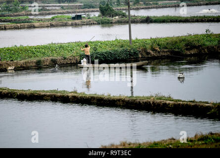 06. Dezember 2018, China, Kanton (Guangzhou): Ein Mitarbeiter einer Fischzucht ist auf einer Bootsfahrt auf den Fischteichen. Foto: Britta Pedersen/dpa-Zentralbild/ZB Stockfoto