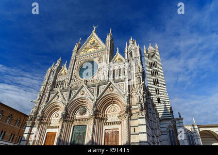 Siena Dom Santa Maria Assunta, Duomo di Siena. Toskana, Italien Stockfoto